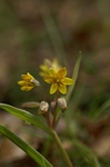 asagiri090412 096 ̃TCY摜.jpg
