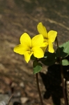 asagiri090412 206 ̃TCY摜.jpg