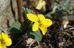 asagiri090412 217 ̃TCY摜.jpg