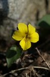 asagiri090412 218 ̃TCY摜.jpg