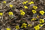 asagiri090412 242 ̃TCY摜.jpg