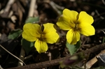 asagiri090412 247 ̃TCY摜.jpg