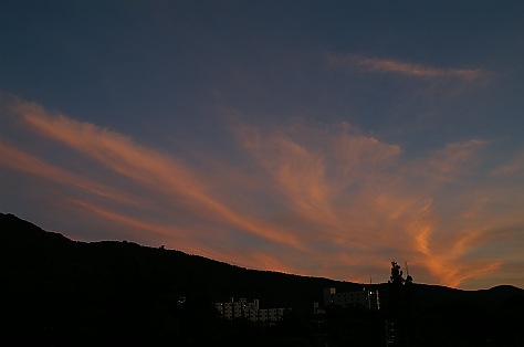 t_merPICT0381.jpg