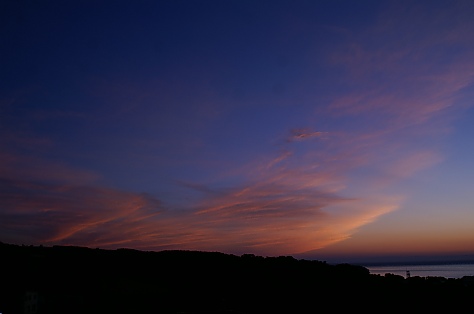 t_merPICT0386.jpg