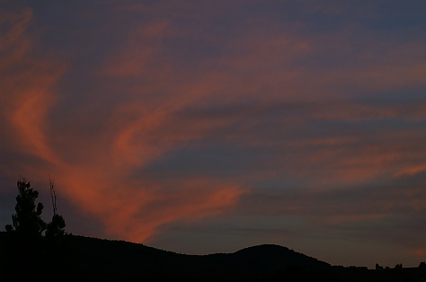 t_merPICT0390.jpg