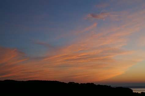 t_merPICT0396.jpg