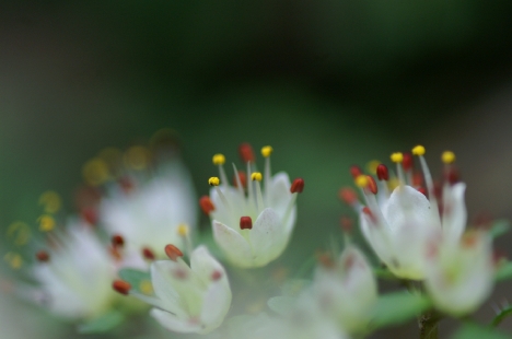 takao_080323 168 のリサイズ画像.jpg